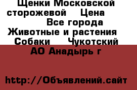 Щенки Московской сторожевой  › Цена ­ 25 000 - Все города Животные и растения » Собаки   . Чукотский АО,Анадырь г.